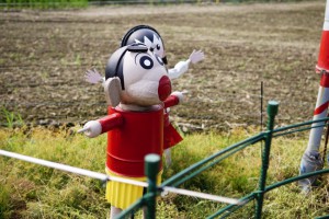 天草　変な　キャラ