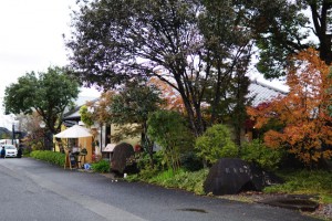 ゆのあん　植木