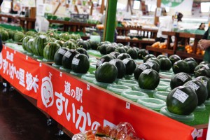 すいかの里　植木