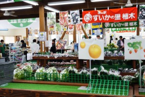 すいかの里　植木