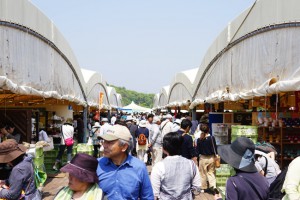 波佐見　陶器市　2017