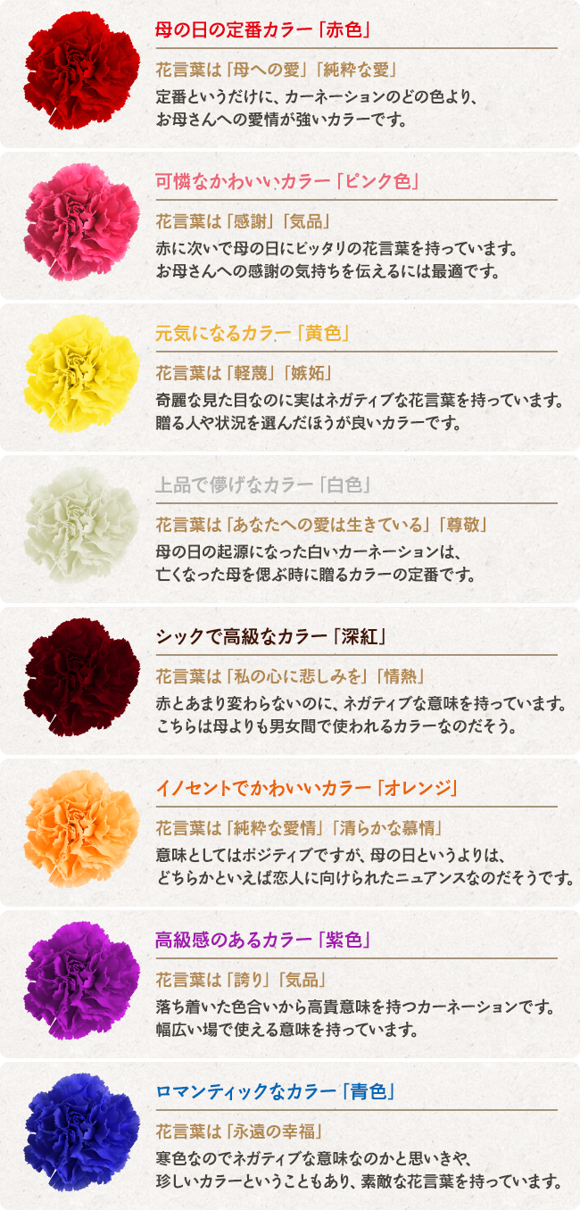 母の日に贈りたい カーネーションの色と花言葉 熊本 東京のホームページ ウェブ制作会社 株式会社エフ