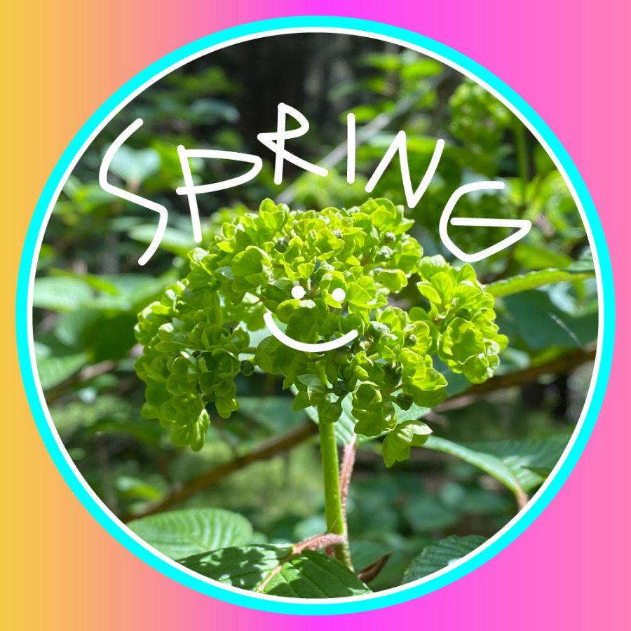【土器】ときめき❤︎ドッキドキ~Hello spring~