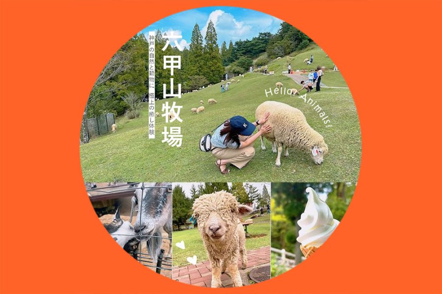 【六甲山牧場】神戸の自然と動物に、極上の癒し体験・・・・・